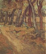 Vincent Van Gogh, The Garden of Saint-Paul Hospital with Figure (nn04)